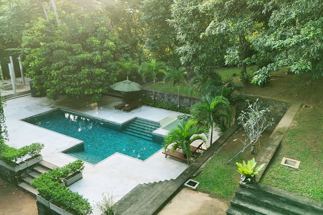 Nature Surroundings